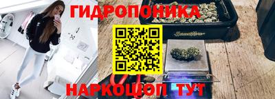 apvp Партизанск